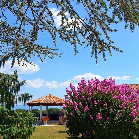 Holiday Apartment Villa Bianca Пазин Екстер'єр фото